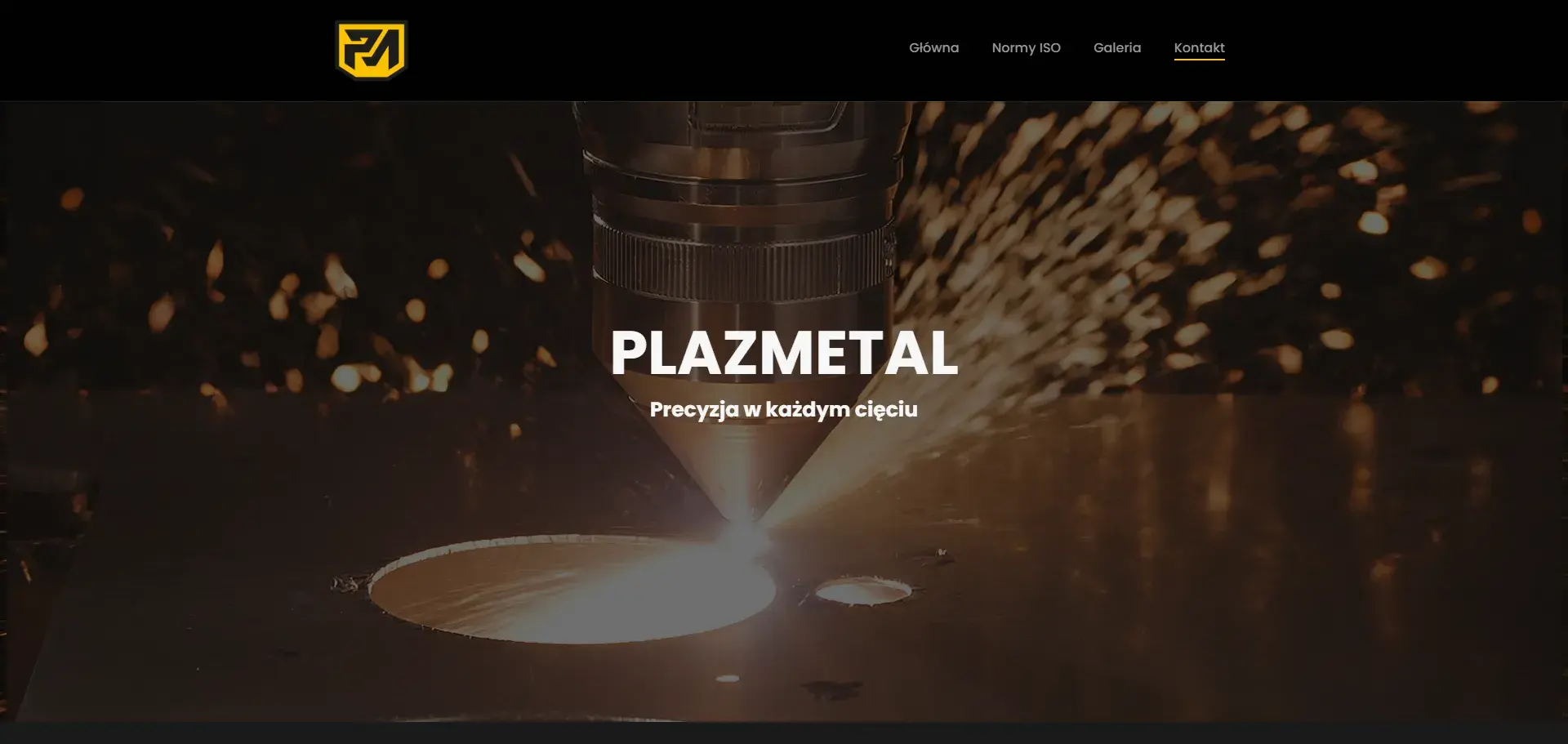 Plazmetal.pl — Realizacja ONEXO