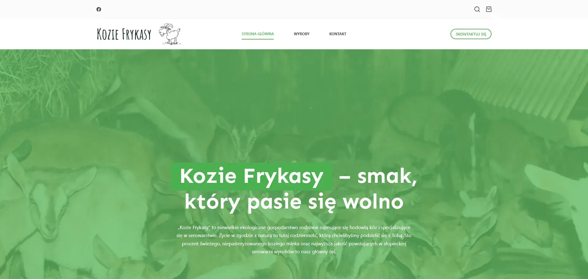 KozieFrykasy.com — Realizacja ONEXO (Webseite)