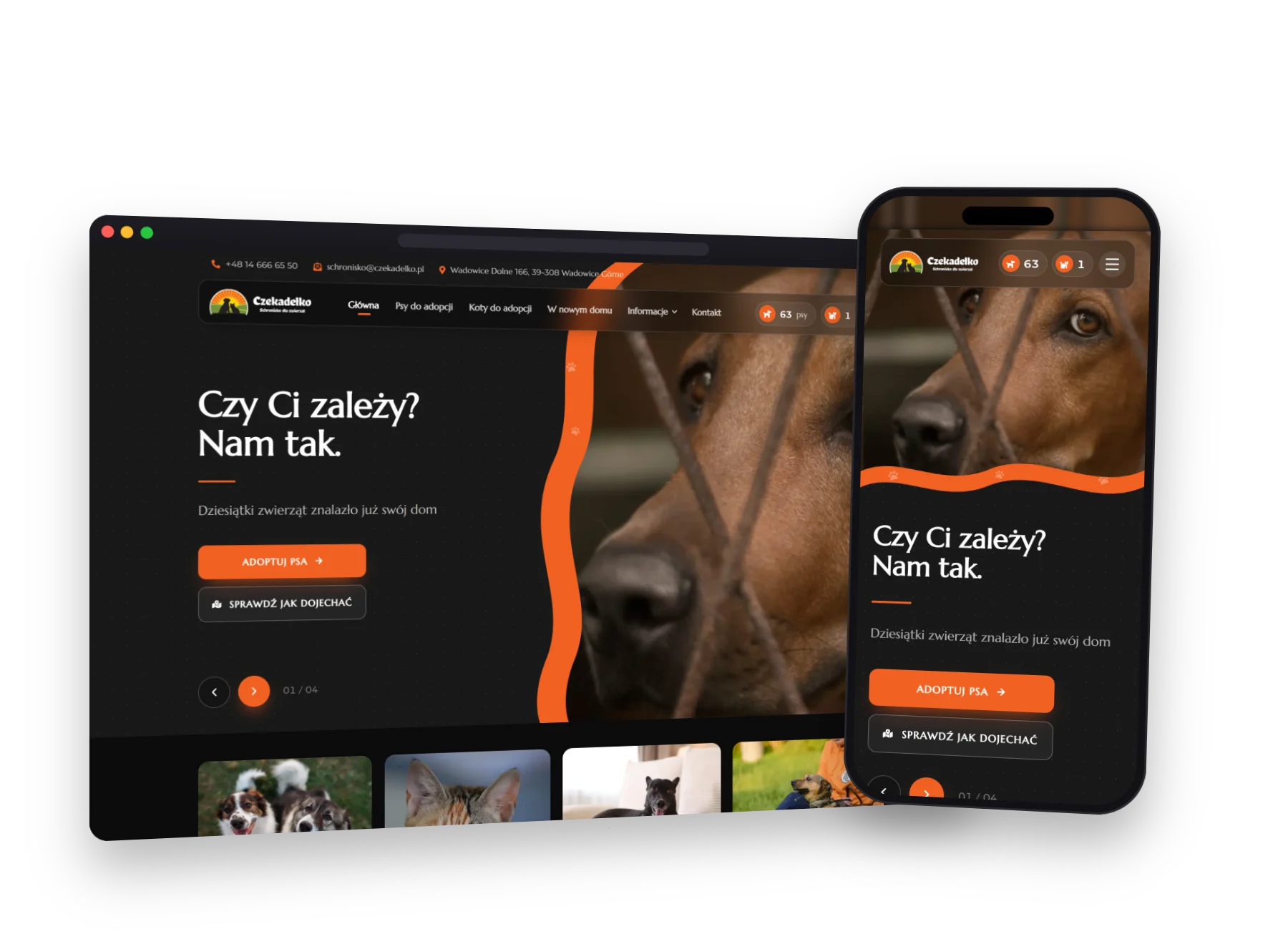 Czekadelko.pl: An animal shelter website that helps dogs and cats find homes faster