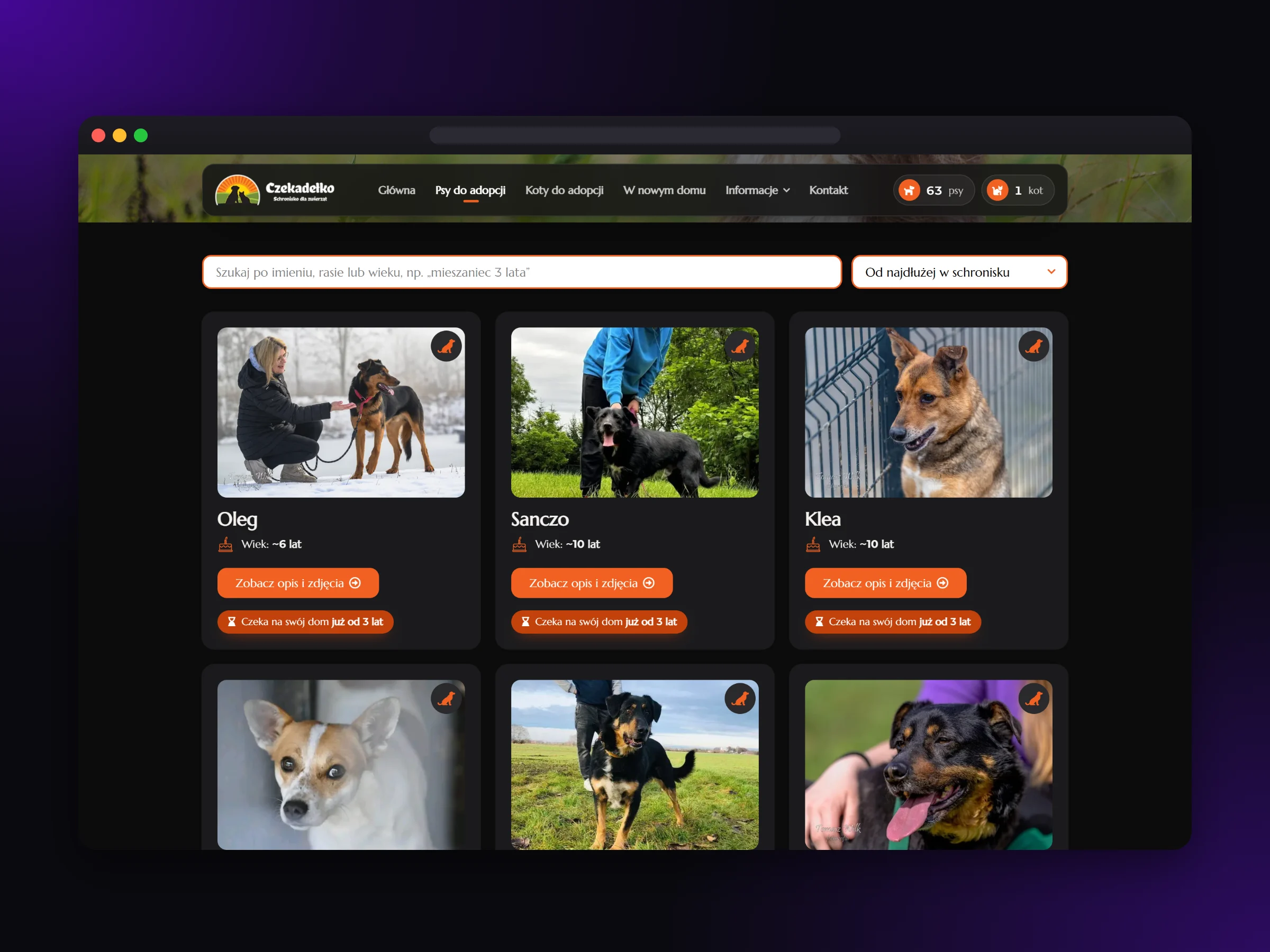 Lista psów do adopcji z wyszukiwarką